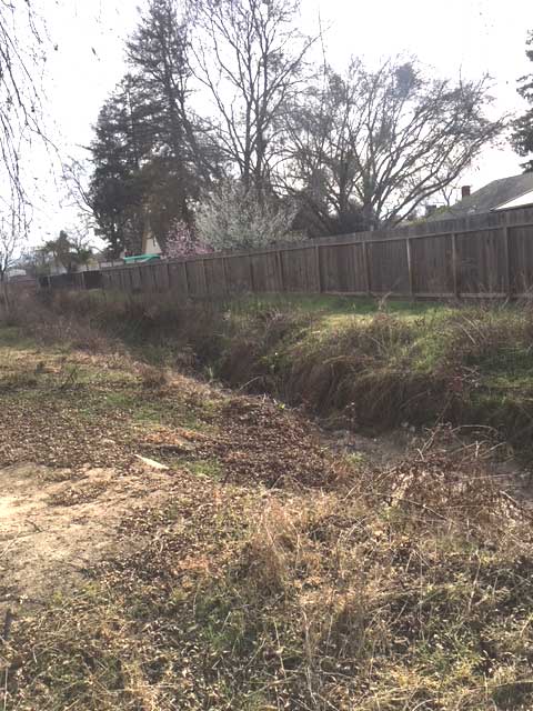An area of Evan's Ditch