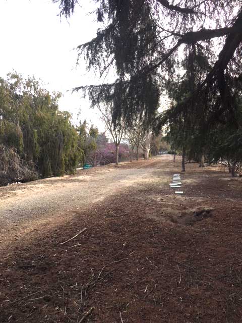 The footpath that runs along the northern border of the Visalia Ransacker's attack area.